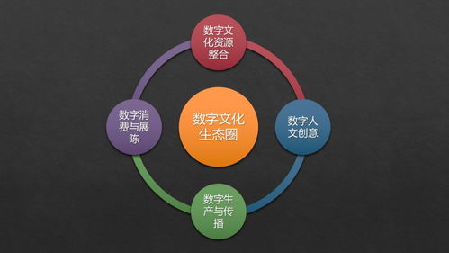 張曉明 跨越新文創時代專業鴻溝，構建數字文化生態圈